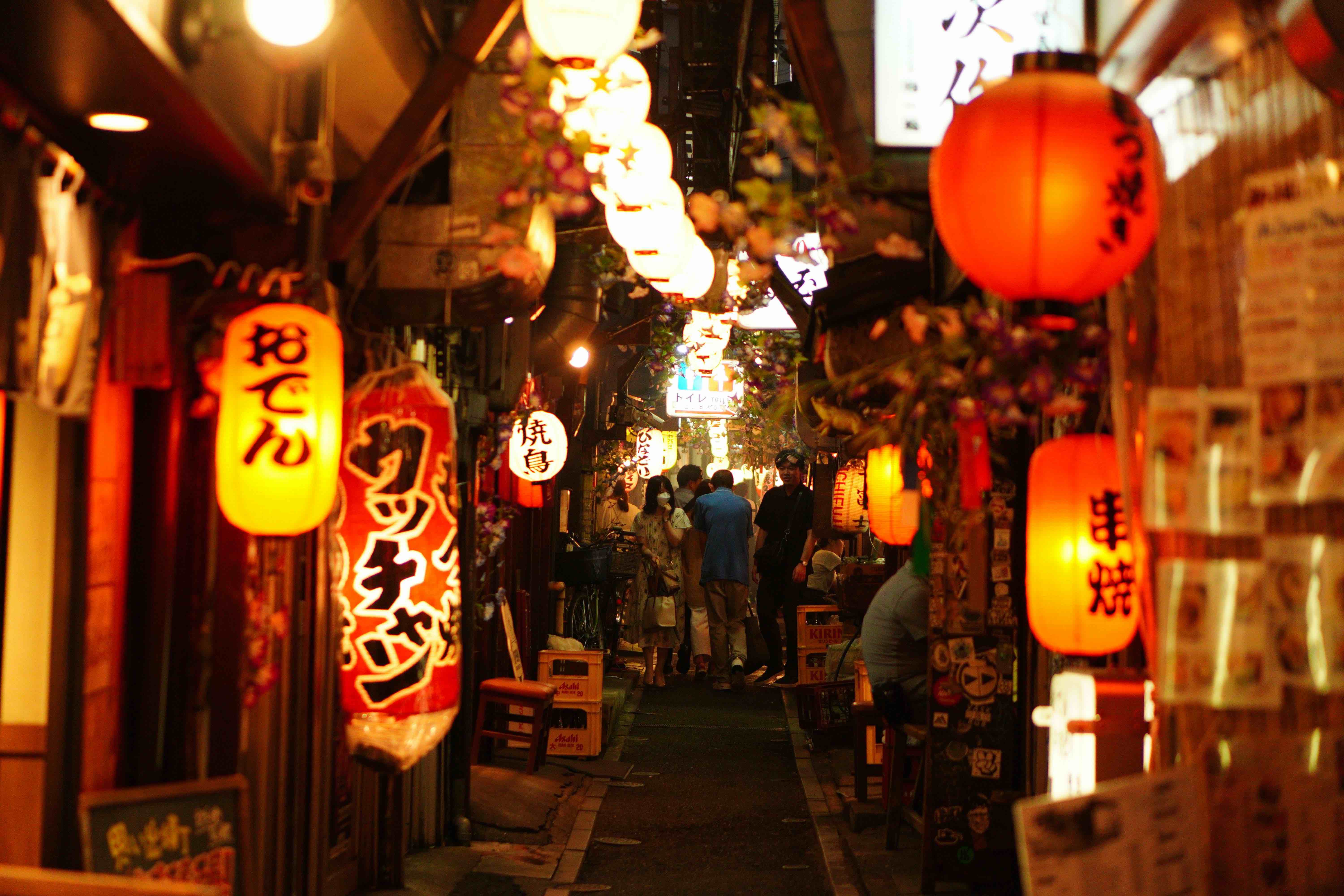 Hidden Tokyo Alley